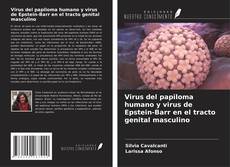 Virus del papiloma humano y virus de Epstein-Barr en el tracto genital masculino的封面