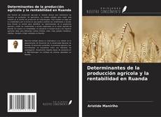 Borítókép a  Determinantes de la producción agrícola y la rentabilidad en Ruanda - hoz