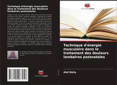 Technique d'énergie musculaire dans le traitement des douleurs lombaires postnatales kitap kapağı
