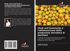 Обложка Studi sull'isolamento e l'ottimizzazione della produzione microbica di pectinasi