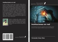 Instituciones en red的封面