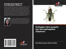 Copertina di Sviluppo intra-pupale nei Sarcophagidae (Diptera)
