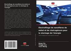 Électrofilage de nanofibres de métal et de chalcogénure pour le stockage de l'énergie的封面