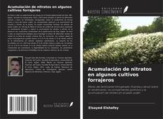Acumulación de nitratos en algunos cultivos forrajeros的封面