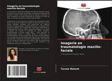 Copertina di Imagerie en traumatologie maxillo-faciale