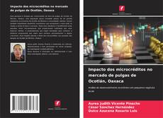 Portada del libro de Impacto dos microcréditos no mercado de pulgas de Ocotlán, Oaxaca