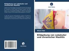 Copertina di Bildgebung von subakuter und chronischer Mastitis