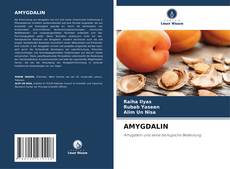 Borítókép a  AMYGDALIN - hoz