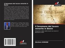 Buchcover von Il fenomeno del lavoro minorile in Benin