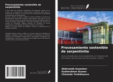 Procesamiento sostenible de serpentinita kitap kapağı