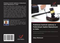 Podstawa kontroli sądowej w Federalnym Sądzie Najwyższym w Iraku的封面