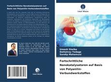 Fortschrittliche Nanokatalysatoren auf Basis von Polyanilin-Verbundwerkstoffen的封面