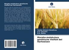 Capa do livro de Morpho-molekulare genetische Vielfalt bei Hartweizen 