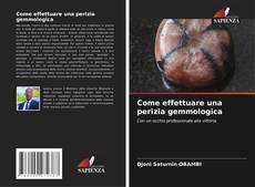 Portada del libro de Come effettuare una perizia gemmologica