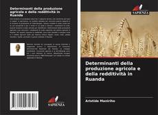Bookcover of Determinanti della produzione agricola e della redditività in Ruanda