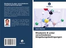 Borítókép a  Rhodamin B unter verschiedenen Umgebungsbedingungen - hoz