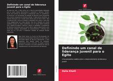 Couverture de Definindo um canal de liderança juvenil para o Egito
