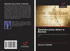 Обложка Zjawisko pracy dzieci w Beninie