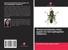 Couverture de Desenvolvimento intra-pupal em Sarcophagidae (Diptera)