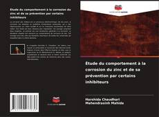 Copertina di Étude du comportement à la corrosion du zinc et de sa prévention par certains inhibiteurs