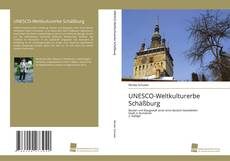 Borítókép a  UNESCO-Weltkulturerbe Schäßburg - hoz