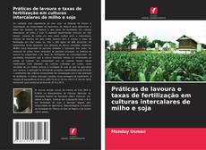 Copertina di Práticas de lavoura e taxas de fertilização em culturas intercalares de milho e soja