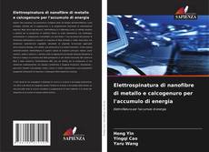 Capa do livro de Elettrospinatura di nanofibre di metallo e calcogenuro per l'accumulo di energia 