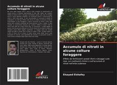 Accumulo di nitrati in alcune colture foraggere kitap kapağı