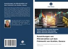 Copertina di Auswirkungen von Mikrokrediten auf dem Flohmarkt von Ocotlán, Oaxaca