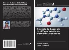 Bookcover of Síntesis de bases de Schiff que contienen bencenosulfonamida