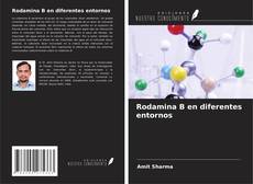 Copertina di Rodamina B en diferentes entornos