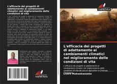 Обложка L'efficacia dei progetti di adattamento ai cambiamenti climatici nel miglioramento delle condizioni di vita