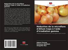 Couverture de Réduction de la microflore d'Allium Cepa à l'aide d'irradiation gamma