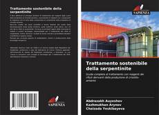 Buchcover von Trattamento sostenibile della serpentinite