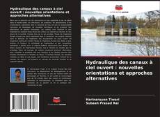 Buchcover von Hydraulique des canaux à ciel ouvert : nouvelles orientations et approches alternatives