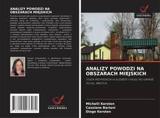 Copertina di ANALIZY POWODZI NA OBSZARACH MIEJSKICH