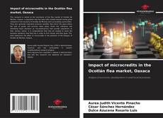 Copertina di Impact of microcredits in the Ocotlán flea market, Oaxaca