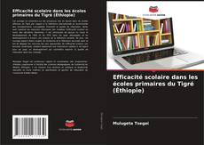 Efficacité scolaire dans les écoles primaires du Tigré (Éthiopie)的封面