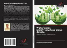 Wpływ zmian klimatycznych na prawa dziecka的封面