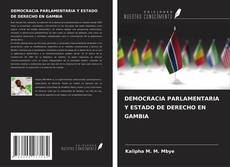 Bookcover of DEMOCRACIA PARLAMENTARIA Y ESTADO DE DERECHO EN GAMBIA