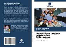 Copertina di Beziehungen zwischen jugendlichen Geschwistern