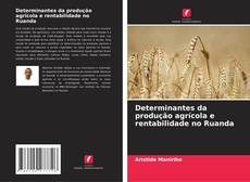 Determinantes da produção agrícola e rentabilidade no Ruanda的封面