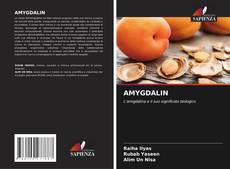 Buchcover von AMYGDALIN