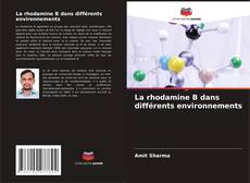 Couverture de La rhodamine B dans différents environnements