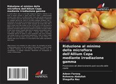 Bookcover of Riduzione al minimo della microflora dell'Allium Cepa mediante irradiazione gamma
