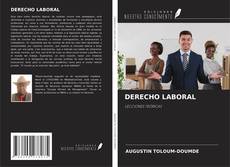 DERECHO LABORAL kitap kapağı