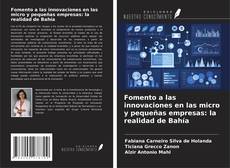 Fomento a las innovaciones en las micro y pequeñas empresas: la realidad de Bahía的封面