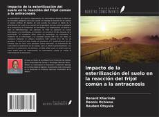 Impacto de la esterilización del suelo en la reacción del frijol común a la antracnosis的封面