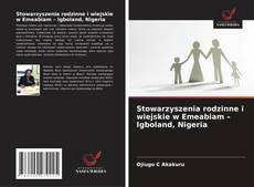 Buchcover von Stowarzyszenia rodzinne i wiejskie w Emeabiam – Igboland, Nigeria
