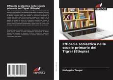 Copertina di Efficacia scolastica nelle scuole primarie del Tigrai (Etiopia)